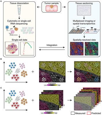 Unraveling the Complexity of the Cancer Microenvironment With Multidimensional Genomic and Cytometric Technologies